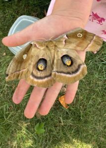 Moth Prayer Answered Prayers The Village Christian Church